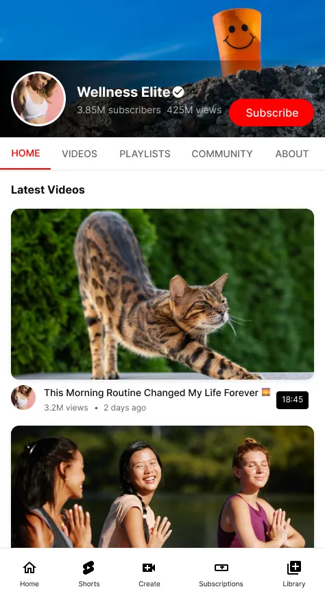 YouTube Marketing YouTube video marketing by AWDS